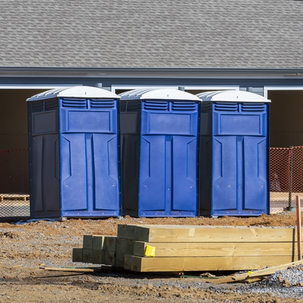 what is the maximum capacity for a single porta potty in Little York NY